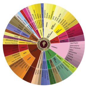 ruota-aromi-del-vino